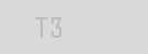 t3